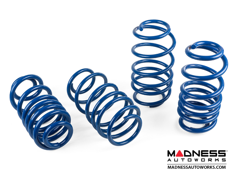 smart fortwo Lowering Spring Set 451 model MADNESS SMART MADNESS